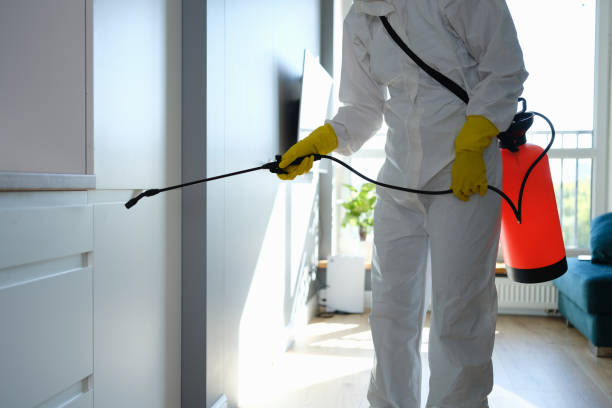 Professional Mold Removal in Springdale, OH